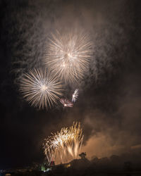 Firework display at night