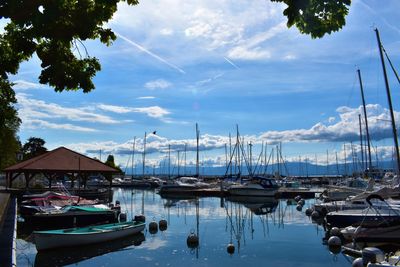 Boats in marina