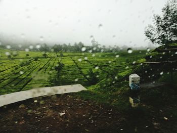 Scenic view of wet landscape during rainy season