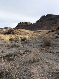 Scenic view of arid landscape against sky