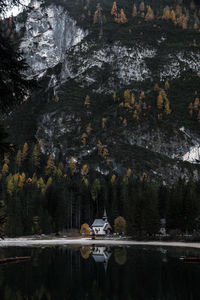 Reflection of trees on water in lake