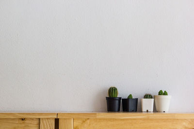 Close-up of potted plants on table against wall