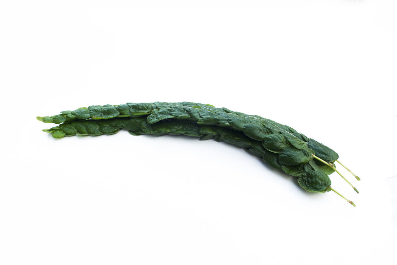 CLOSE-UP OF FOOD ON WHITE BACKGROUND