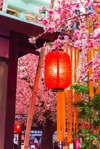 Low angle view of red lanterns hanging on building