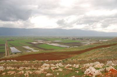 Scenic view of agricultural field against sky