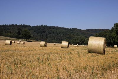 Hay bales on field against clear sky