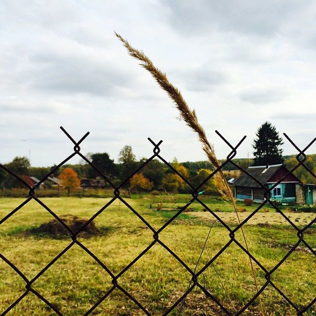 sky, field, fence, rural scene, protection, agriculture, cloud - sky, landscape, grass, safety, farm, growth, security, cloudy, chainlink fence, nature, building exterior, cloud, tranquility, built structure