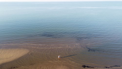 High angle view of person on sea shore