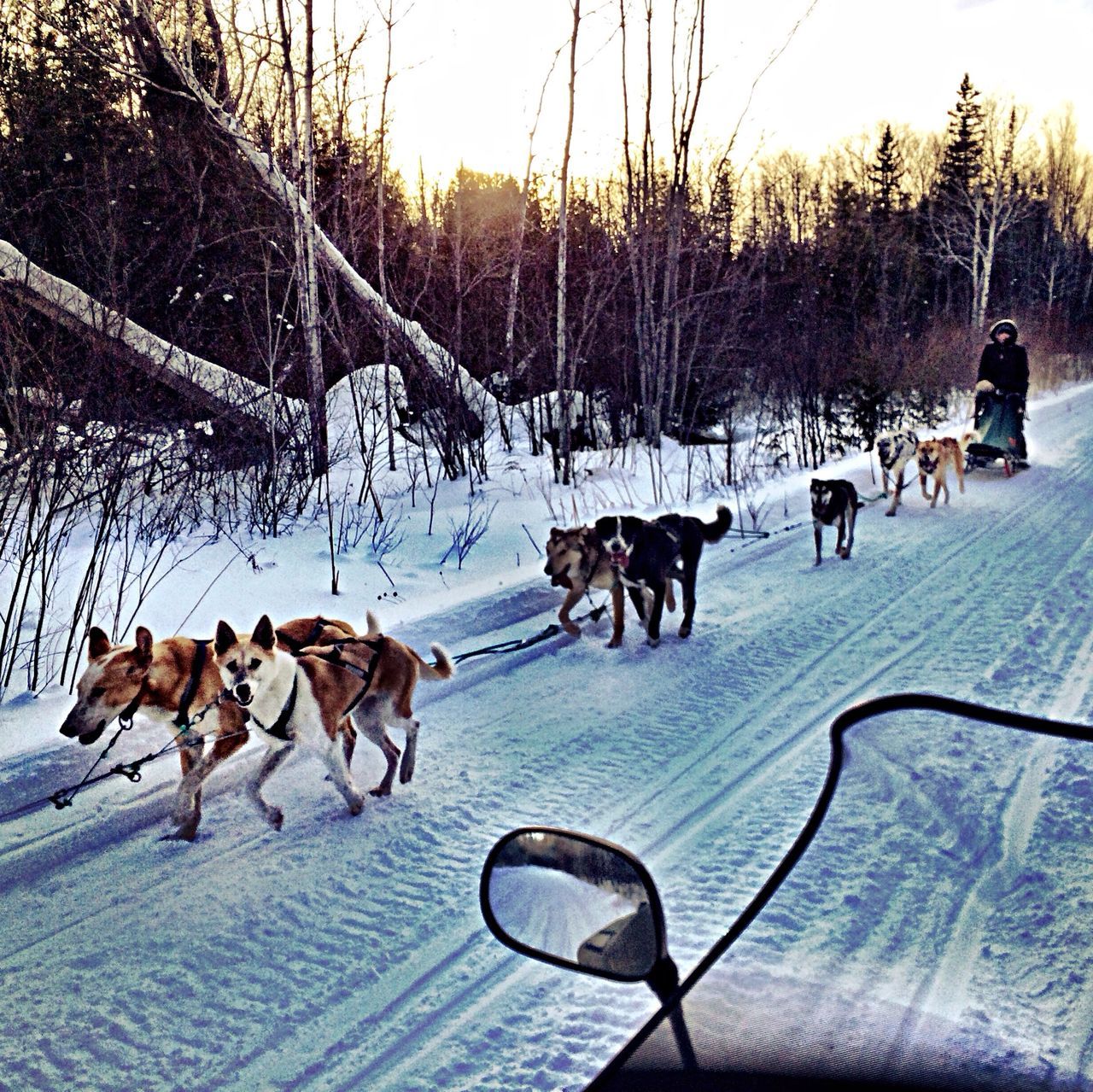 Upper peninsula