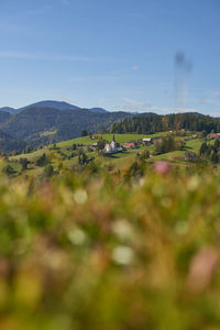 Scenic view of landscape against sky