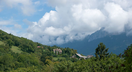 Panoramic view of trees and buildings against sky