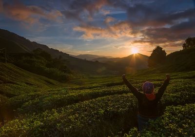 Scenic view of field against sky during sunset