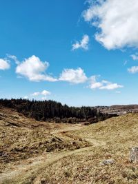 Scenic view of field against sky