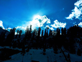 Panoramic view of trees on snow covered landscape against sky