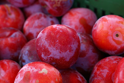 Close-up of red plums in container for sale at market