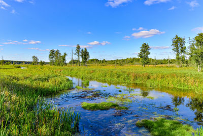Scenic view of pond against sky
