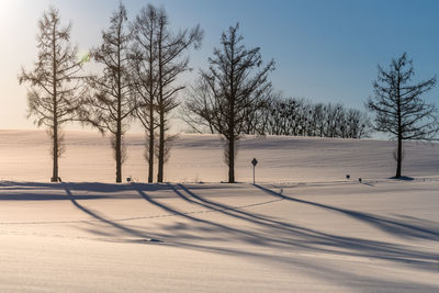 Bare trees on snow covered field against sky