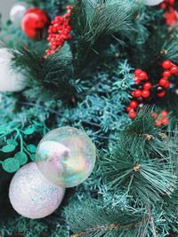 High angle view of christmas tree