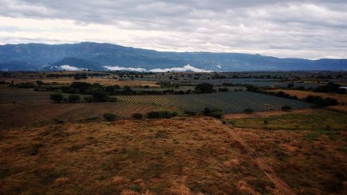 Scenic view of field against sky