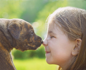 Close-up of dog looking at camera