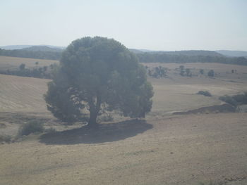 Scenic view of landscape against clear sky