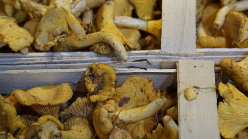 Close-up of fresh vegetables