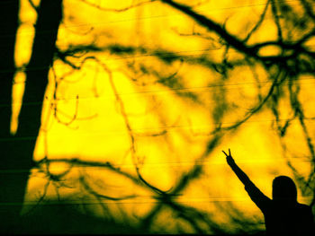 Shadow of man on yellow wall