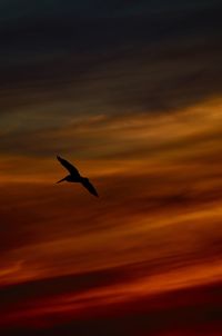 Silhouette bird flying against sky during sunset