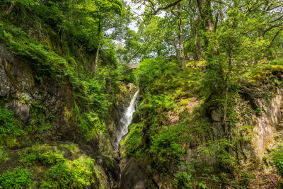 Scenic view of aira force waterfall