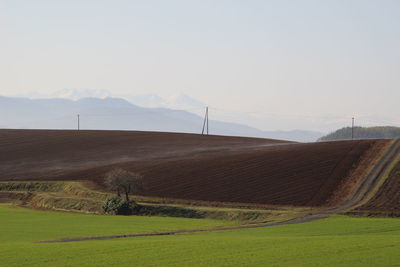 Scenic view of field against sky