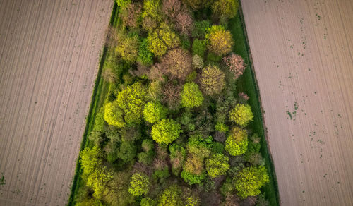 High angle view of textile