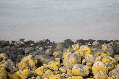 High angle view of rocks on beach