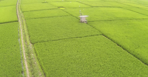 High angle view of agricultural field