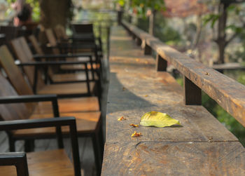 Empty bench on table in park