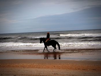 Horse riding horses on beach