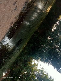 High angle view of trees by lake in forest