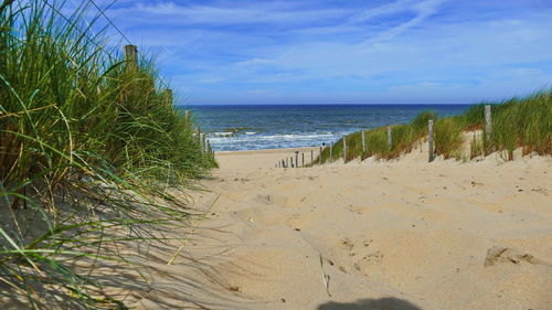 Scenic view of beach against sky