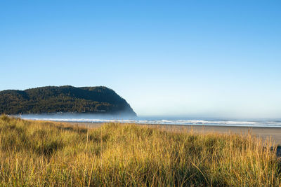 Scenic view of sea against clear sky