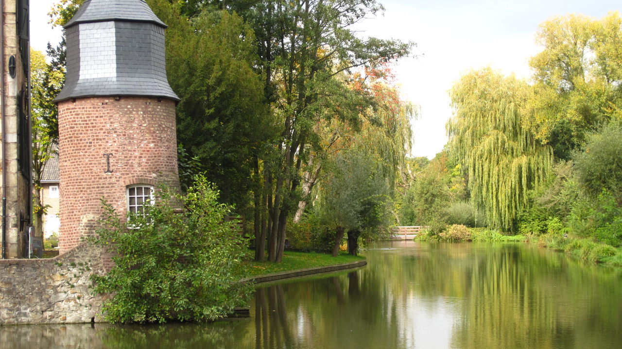 tree, water, reflection, waterfront, lake, tranquility, tranquil scene, nature, beauty in nature, built structure, growth, scenics, sky, river, pond, architecture, green color, building exterior, outdoors, idyllic