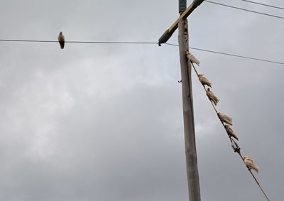 Low angle view of electricity pylon against sky