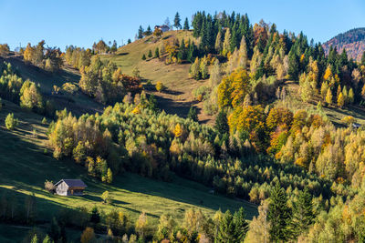 High angle view of trees on mountain against sky