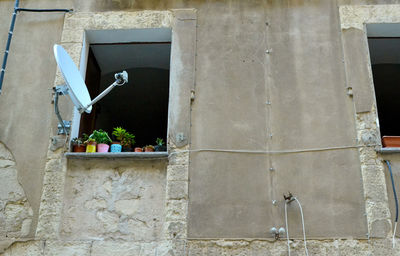 Potted plants on wall of building