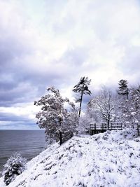 Snow covered trees by sea against sky