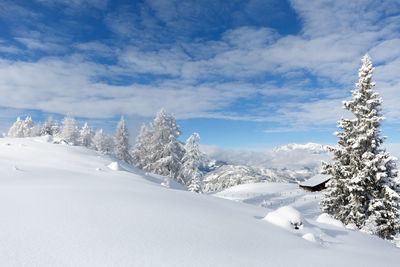 Snowy nature landscape. winter in the austrian alps