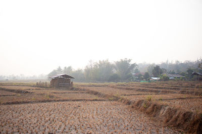 Agricultural field against clear sky