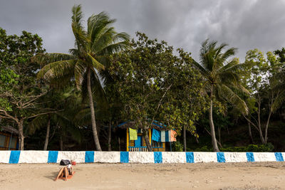 Woman reading novel while lying at beach against trees