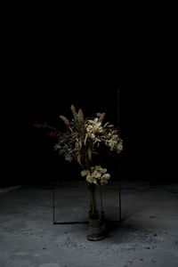 Close-up of wilted flower in vase on table against black background