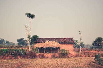 Plants growing on field against sky