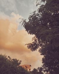 Low angle view of trees and building against sky