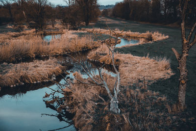 Scenic view of lake